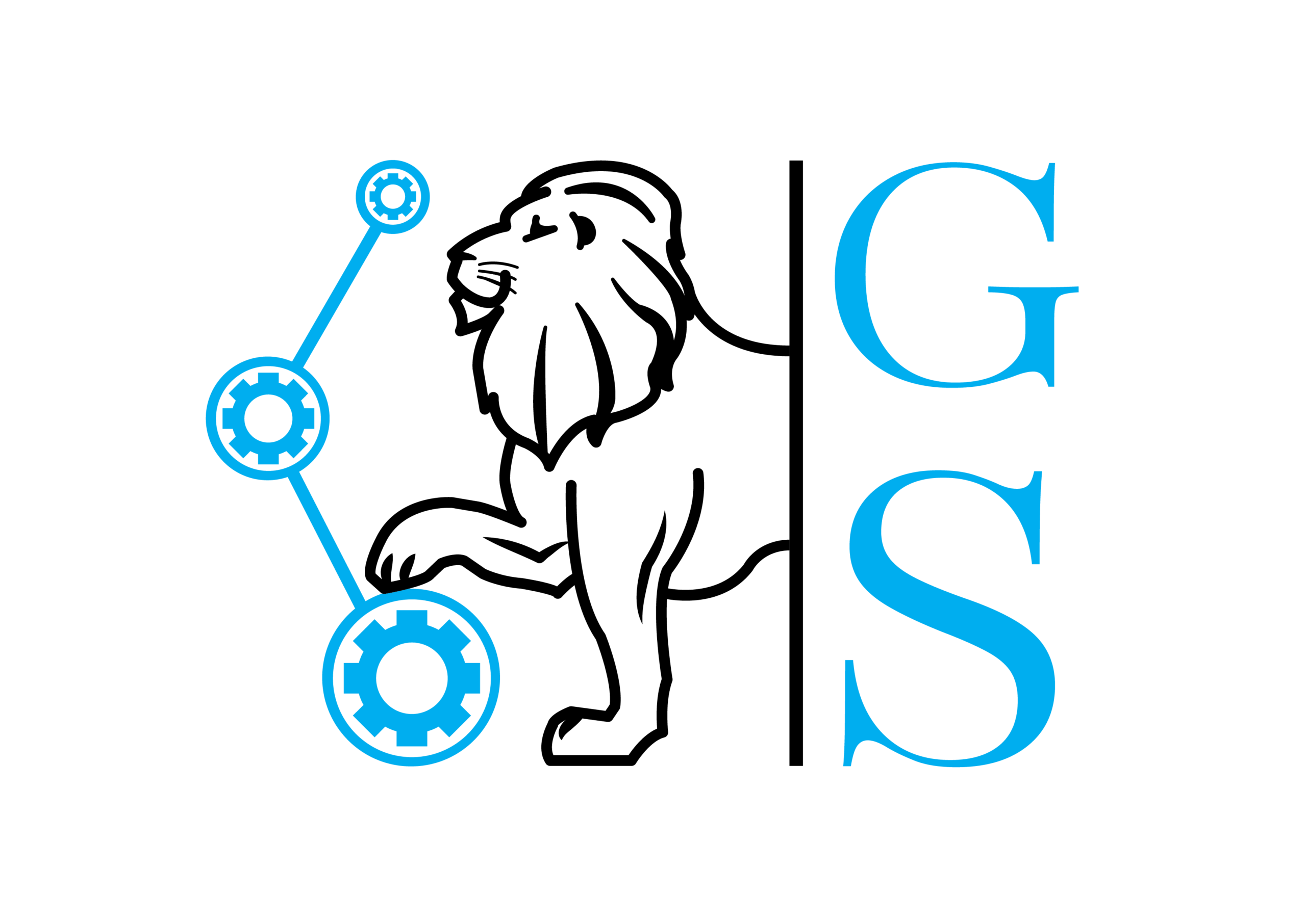 GS Consulting Management Engineering